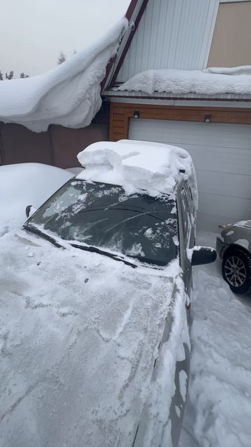 Сугробные истории