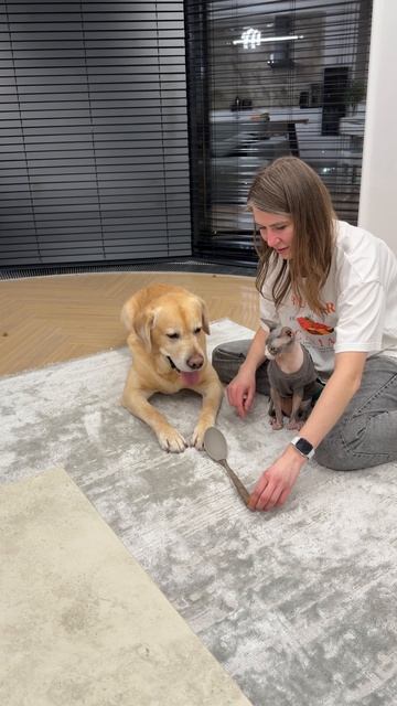 Получилось повторить?🤔