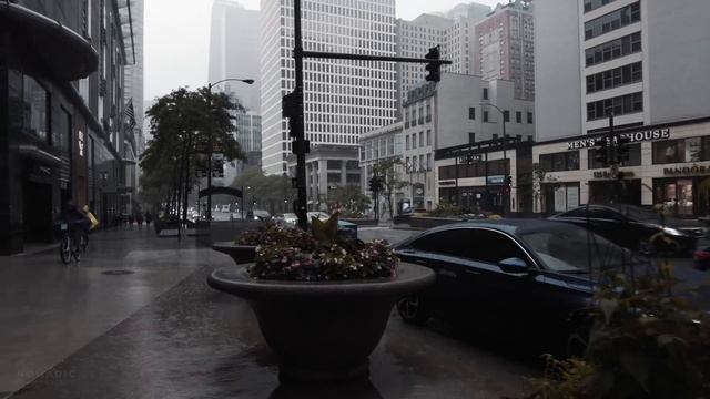 Rainy Evening Walk Manarola, Cinque Terre, Binaural Rain Sounds