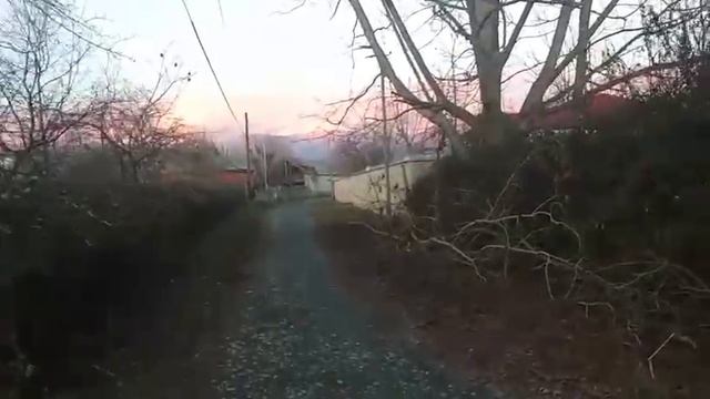 8d3f8456-15d0-4260-839e-8e5eb3f6856b