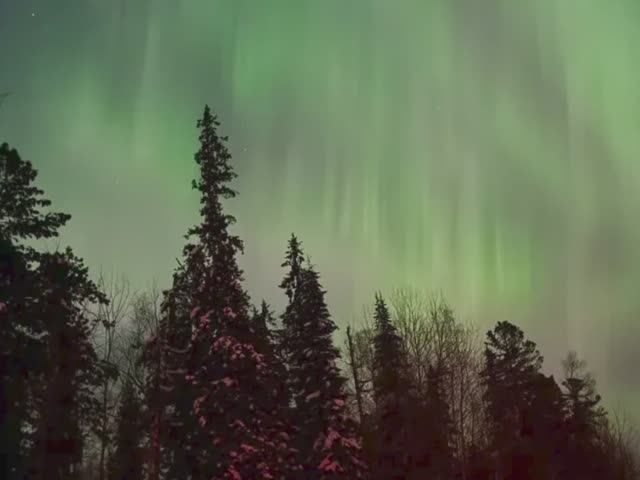 Зима, зима….❄️