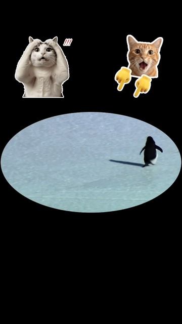 Когда мороз сильнее ЧЕМ желание опоздать в ШКОЛУ