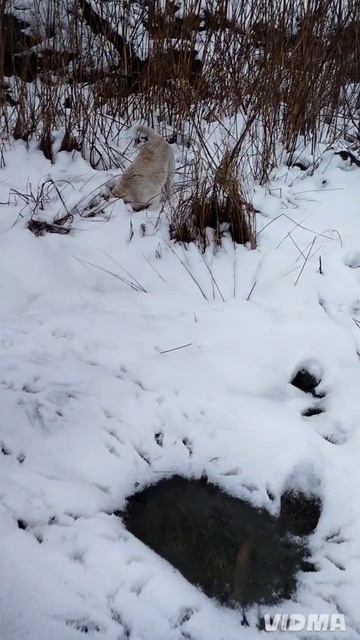 надо много двигаться, надо меньше жрать, чтоб к весне красивой и стройной стать 😁