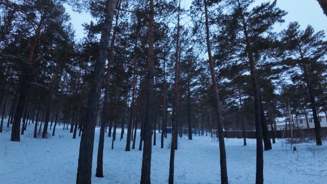 Полетный день FPV