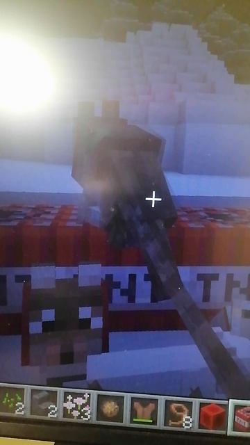 Денис собаки