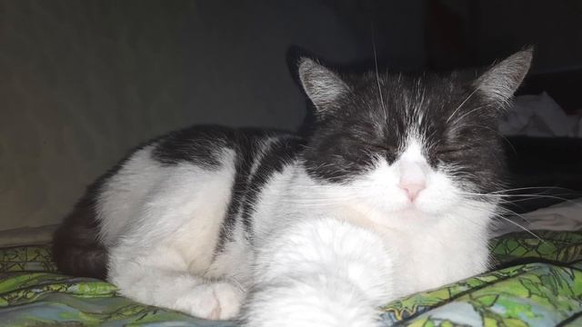 Нам далеко еще до добраты