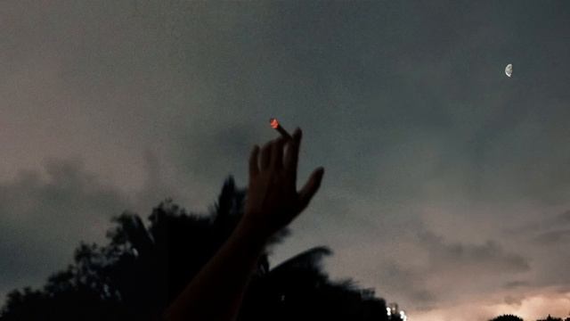 A Calm Playlist For A Busy Mind