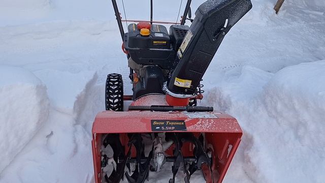 ДЯТЕЛ ИСПОРТИЛ УЛЕЙ, УБРАЛИ СНЕГ НА КРЫШЕ, МОРОЗ -34