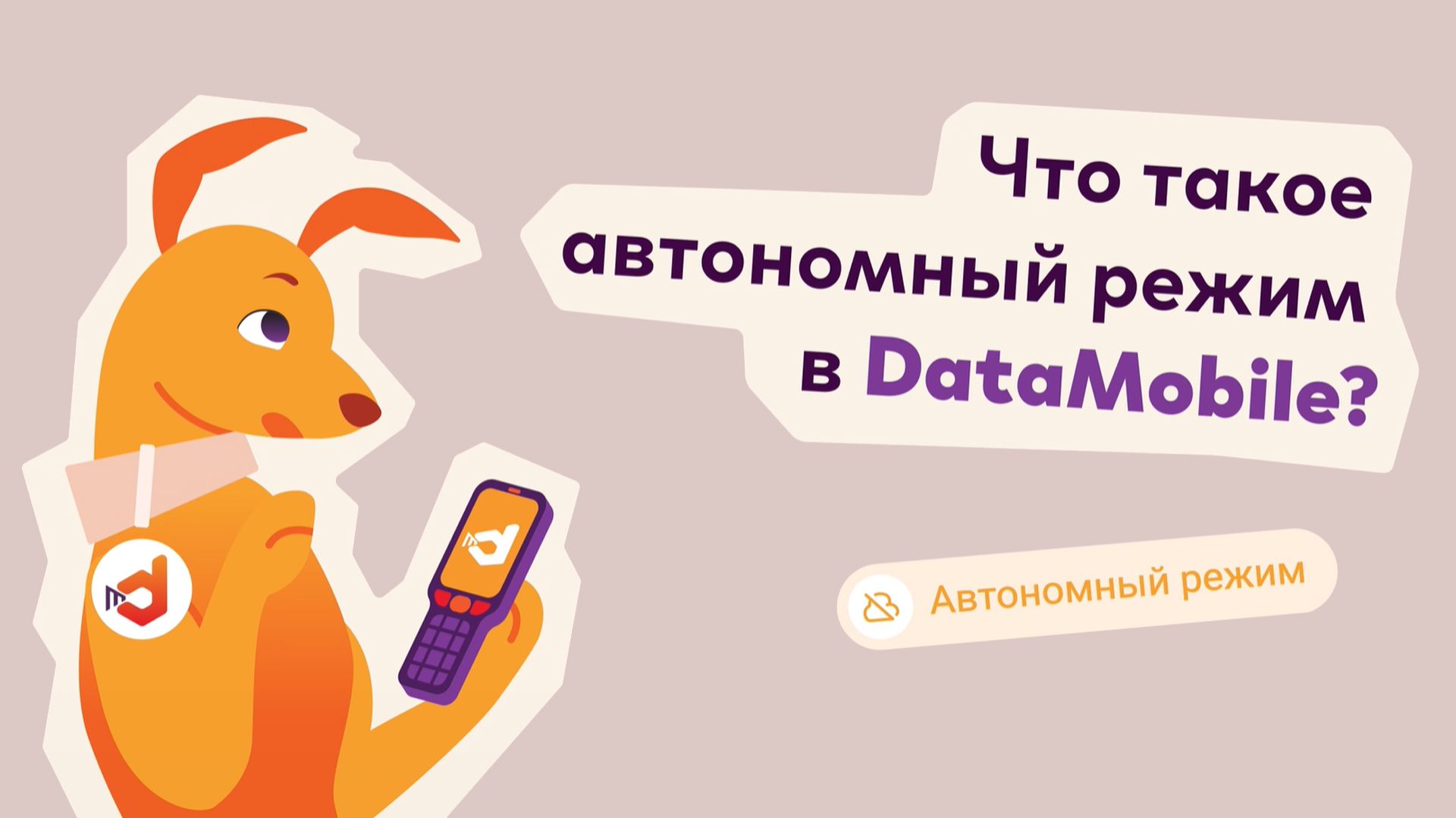 🔌 Автономный режим DataMobile — работа без простоев даже при потере связи