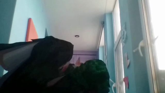 наконец то я про это сняла.