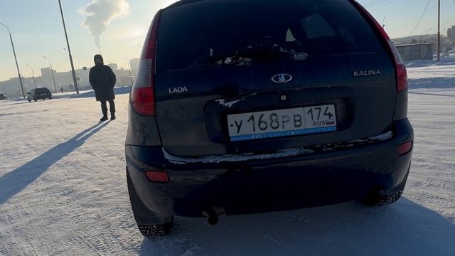 Калина на продажу