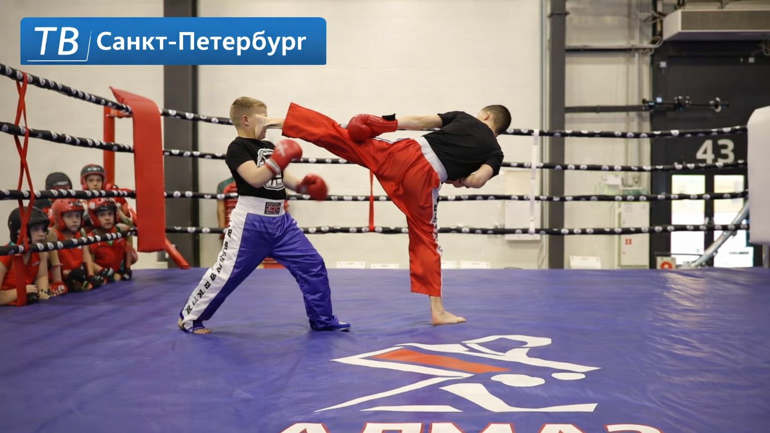 ТВ Санкт-Петербург интервью и показательное выступление юных бойцов Алмаз.