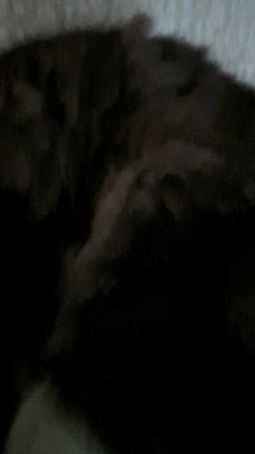 1fa36fad530e644f01c0ab0e88b31d1a