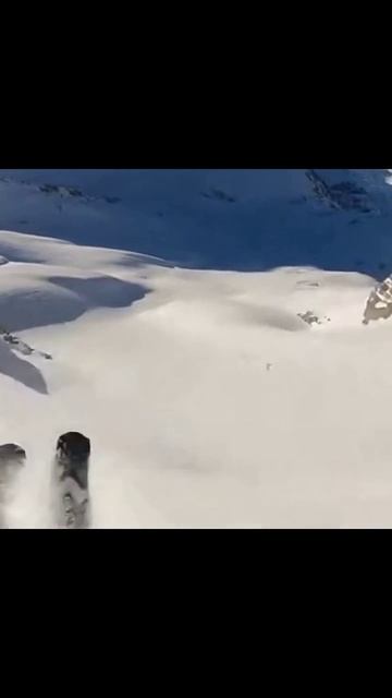 Хвостатый охранник #собаки #ухаживание #простые #забавные #приключения #щенки #питомцы