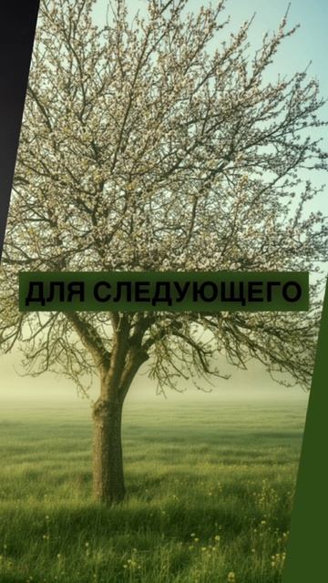 Послание к Невесте Христа. Часть 3 | Пастор Павел Бычков | 25 января 2026 г.