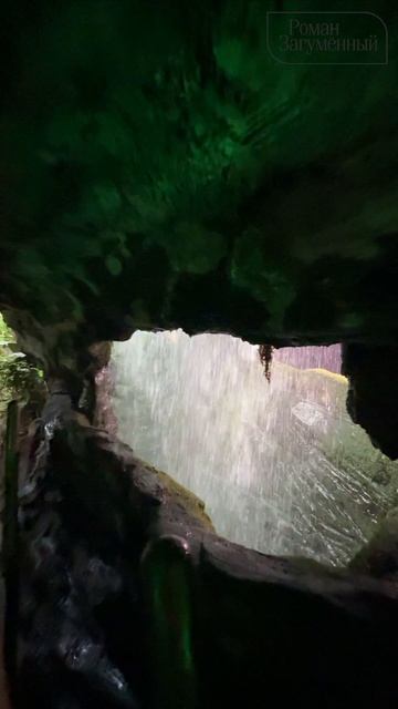 Green Planet Dubai Микрообзор