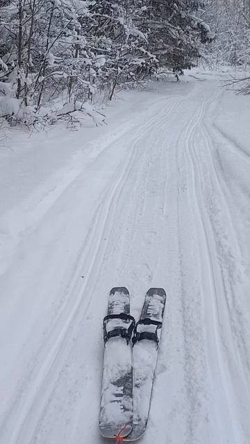 D7b8cf94a098816264b2e2d01a9889e0