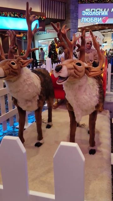 Поющие Олени & Ski Dubai😁#mallofemirates, #dubai, #skidubai, #travel, #uae