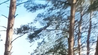 играю в игры на телефоне часть 4