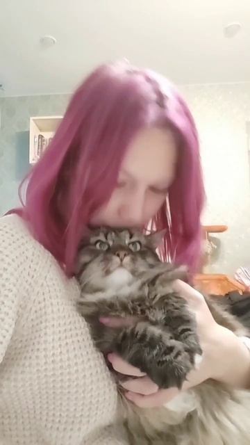 Собака — вон, кошки — в пляс