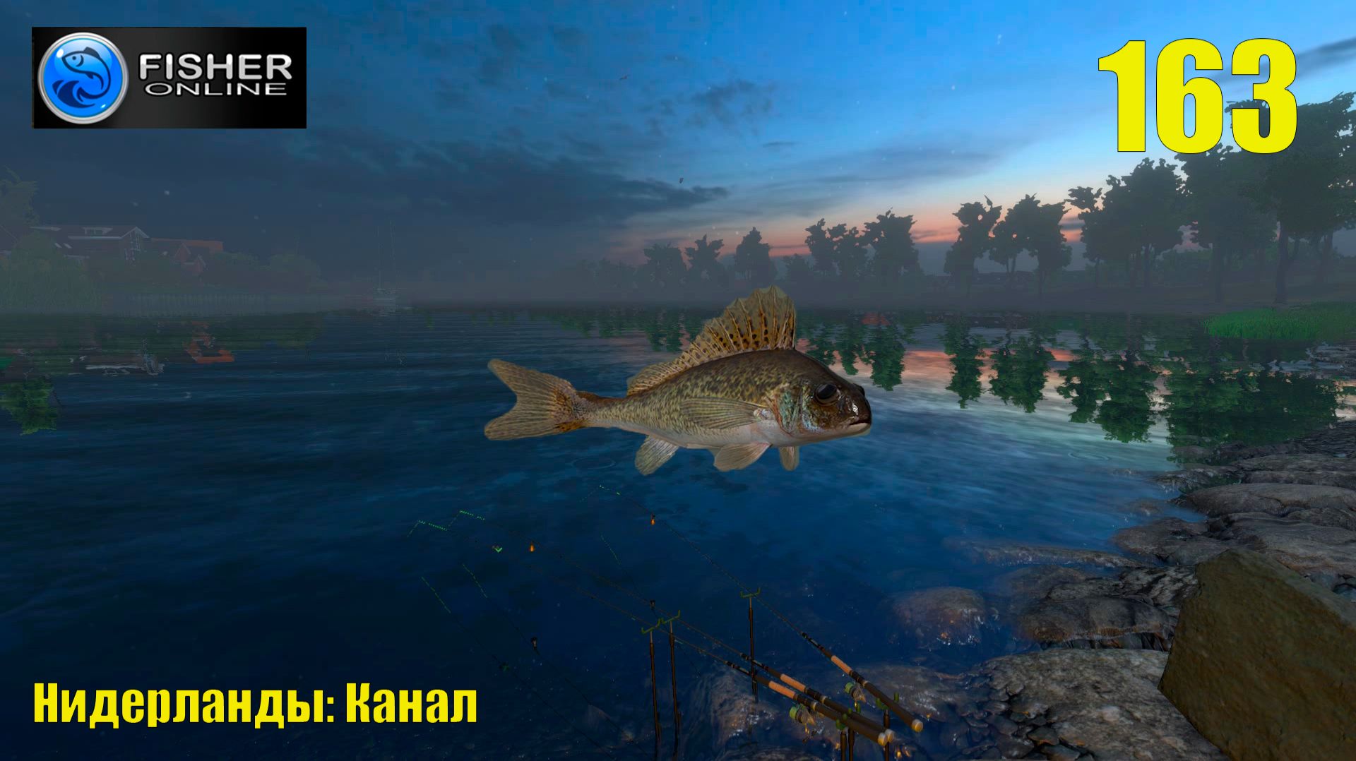 #163 Нидерланды: канал ч.6 Путь к серебру: вылов  трофейного ерша.  Прохождение Fisher Online