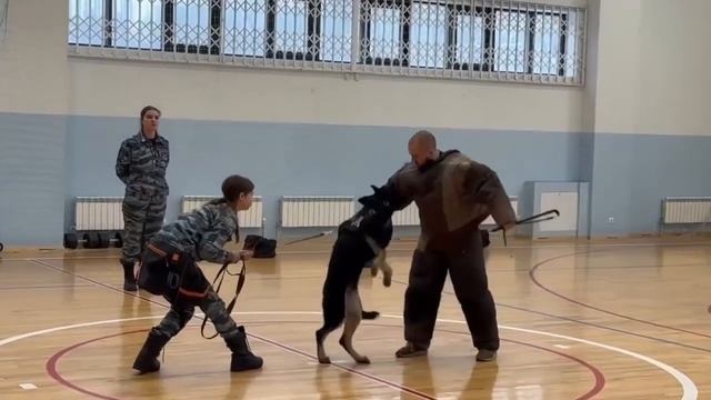 В УВД по ВАО ГУ МВД России по г. Москве прошла Всероссийская акция «Студенческий десант»