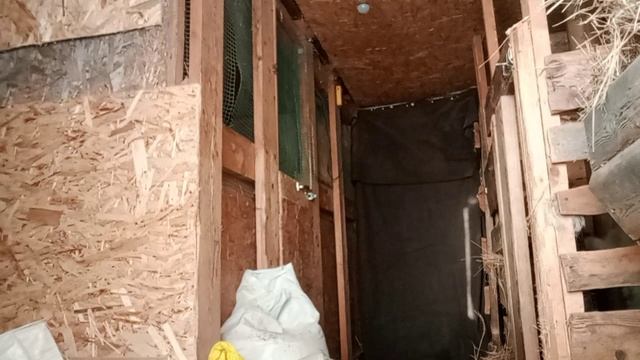 Начало сезона🫑. Мороз такой что чуть руки не потеряла. ☃️.