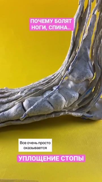 Почему болит спина, колени, шейно воротниковая часть