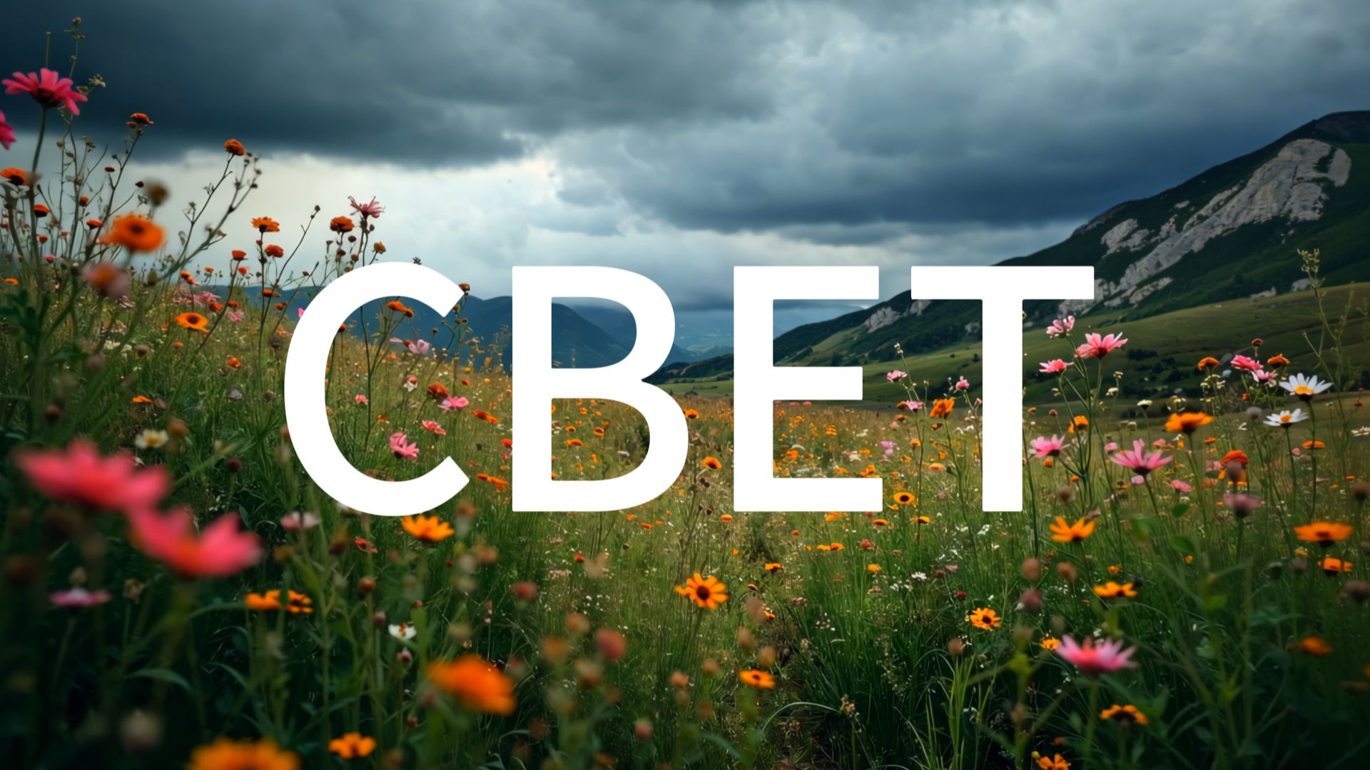 C1148b6cd7a379774ac2908f69e4794f