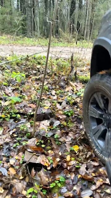 Тест-драйв Huanghai N7