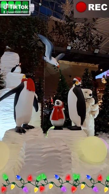 Ростов-на-Дону ждет февраль. #ростовнадону #2026 #торговыйцентр