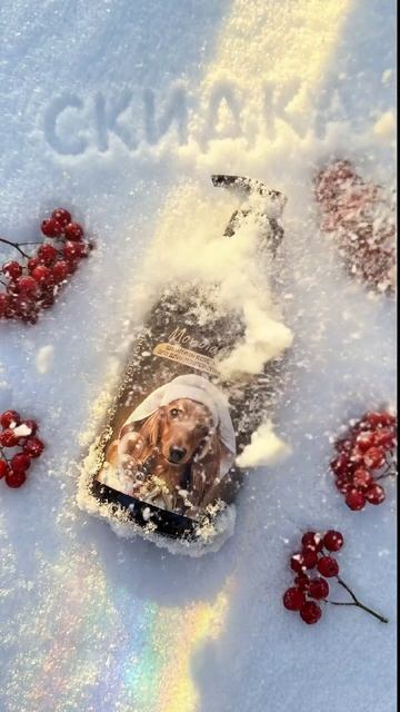 Сегодня и завтра на 💜242893461