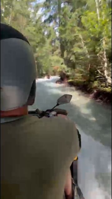 Квадроберы