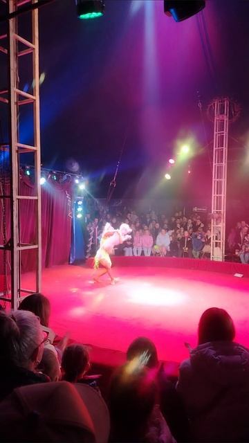 2292f3be2700c4ad9291b4685b4f5eed