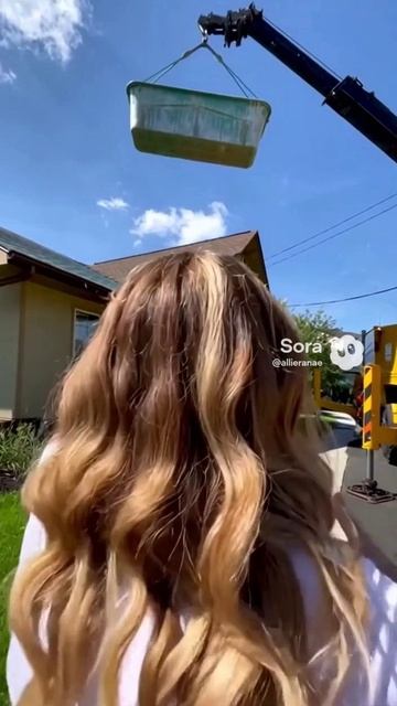 How To Paint The Roof (neuro Slop)