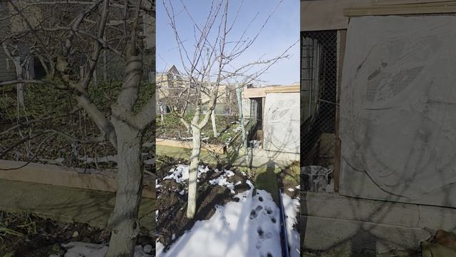 Дача СНТ ЭНЕРГЕТИК