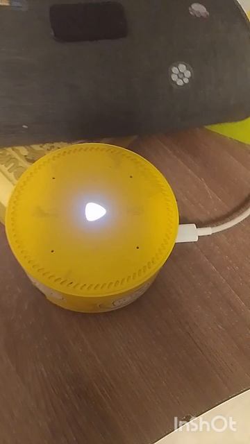 Задаю Алисе вопросы