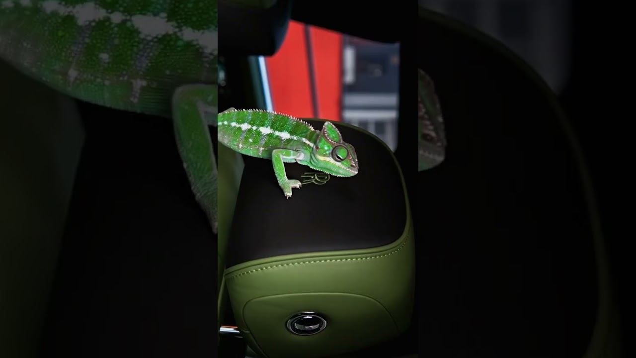 Взгляни на Rolls Royce другими глазами #автомосква #DaytonaMoscow #RollsRoyce #премиумавто