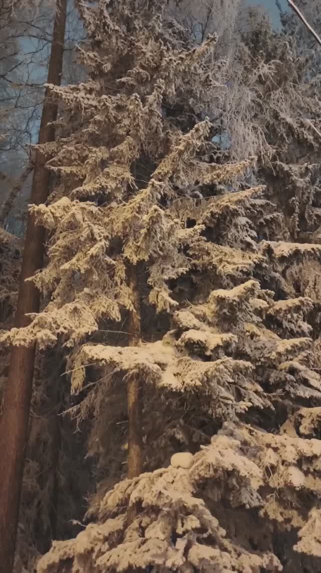 Ночные морозы и красота Крайнего Севера: - 39°C