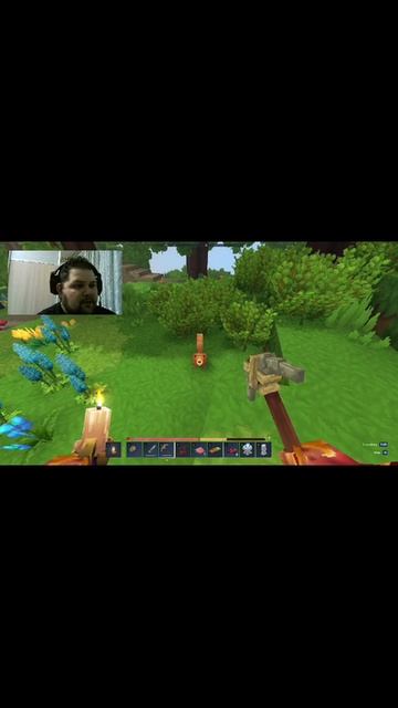 Когда очень рад увидеть белочку 🐿️. #видеоигры #Hytale #выживание