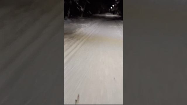 Лыжная жизнь🙂(27.01.26). На 
