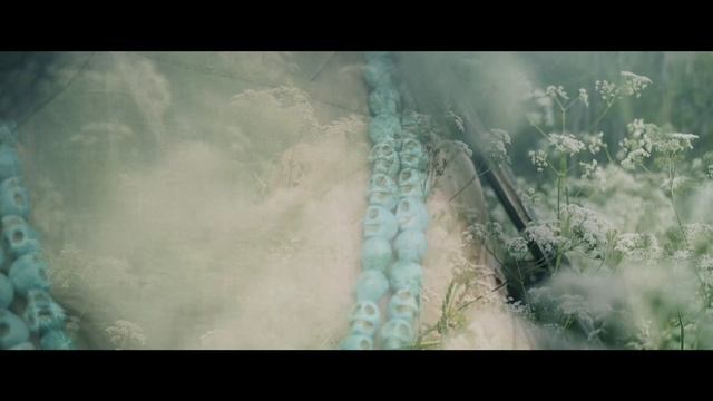 MOON FAR AWAY - Поля Вы, Поля (официальное видео)