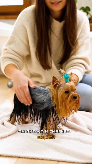 Шампунь — чтобы было чисто, кондиционер — чтобы было красиво и здорово.