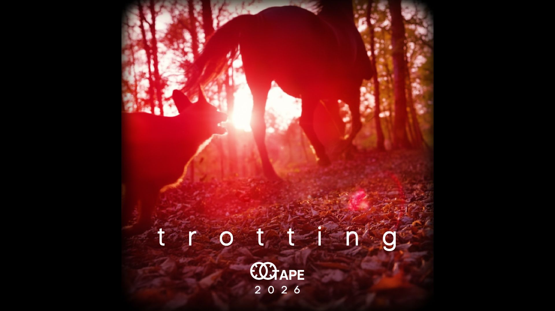 Stereotape - Trotting