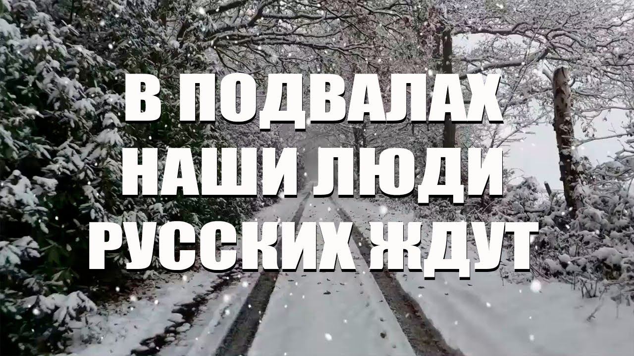 Душевная песня! «В подвалах наши люди русских ждут!»
