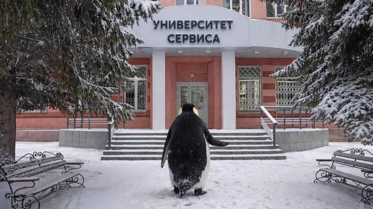 Пингвин-студент Университета сервиса