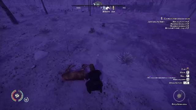 Капустный Барон Средневековья