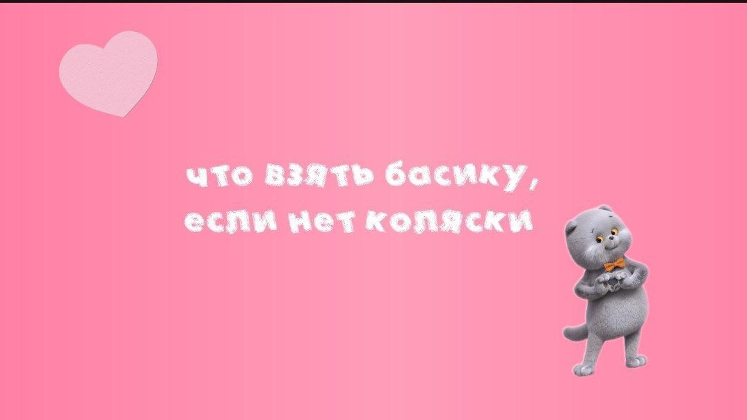 ЧТО ВЗЯТЬ БАСИКУ НА ПРОГУЛКУ,ЕСЛИ НЕТ КОЛЯСКИ?🩷
басики#басята#нетколяски#чтовзять#вариантыдлябасика