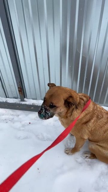 D1a778bfed7bac334ae1877f1d191d7d