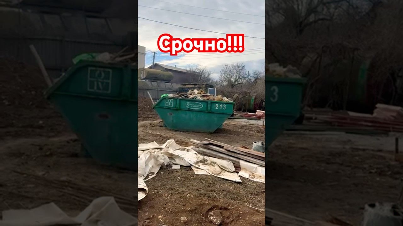 29 января 2026 г.